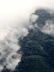 Falling for You: The