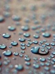 The Sovereign of the