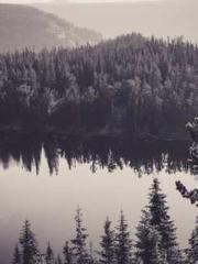 Super husband Lin Xi