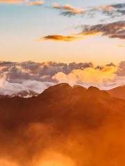 Professor Yan is goi