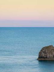 Professor Yan is goi