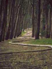 The Sovereign of the