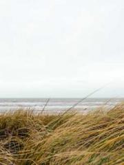 The Legend of the Dr