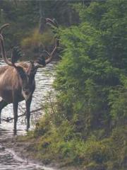 High School Campus S