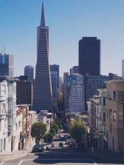 The Taoist nun was f