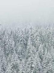 One person opens the