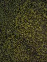 High School Campus S