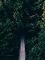 lt;lt;Legend of Yunx