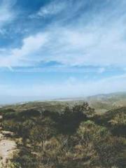 lt;Honor calls for N