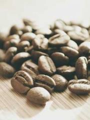 Reborn in 1989: Crea