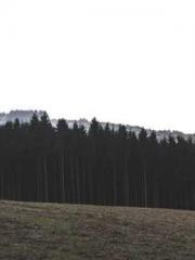 The Sovereign of the