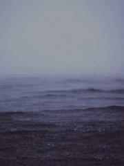Cold-hearted Inkapos