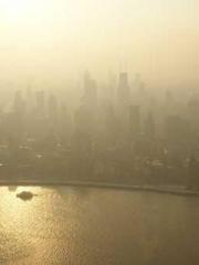 King of the Nine Pro