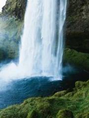Falling for You: The