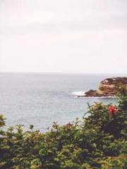 Cultivating My Empre