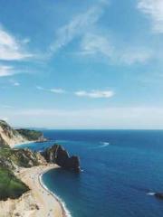 Mr. Gu, your wife is