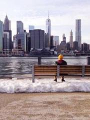 Double Blessing: CEO